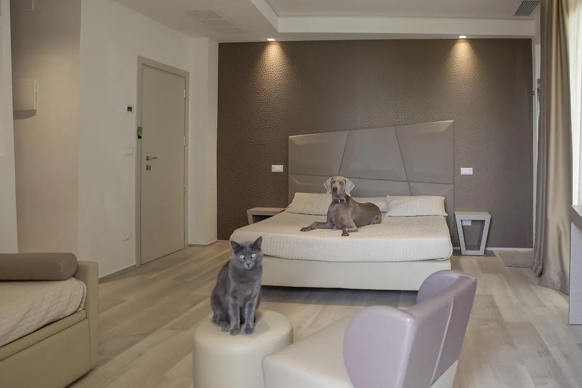 Hotel Principe Rimini 3*,